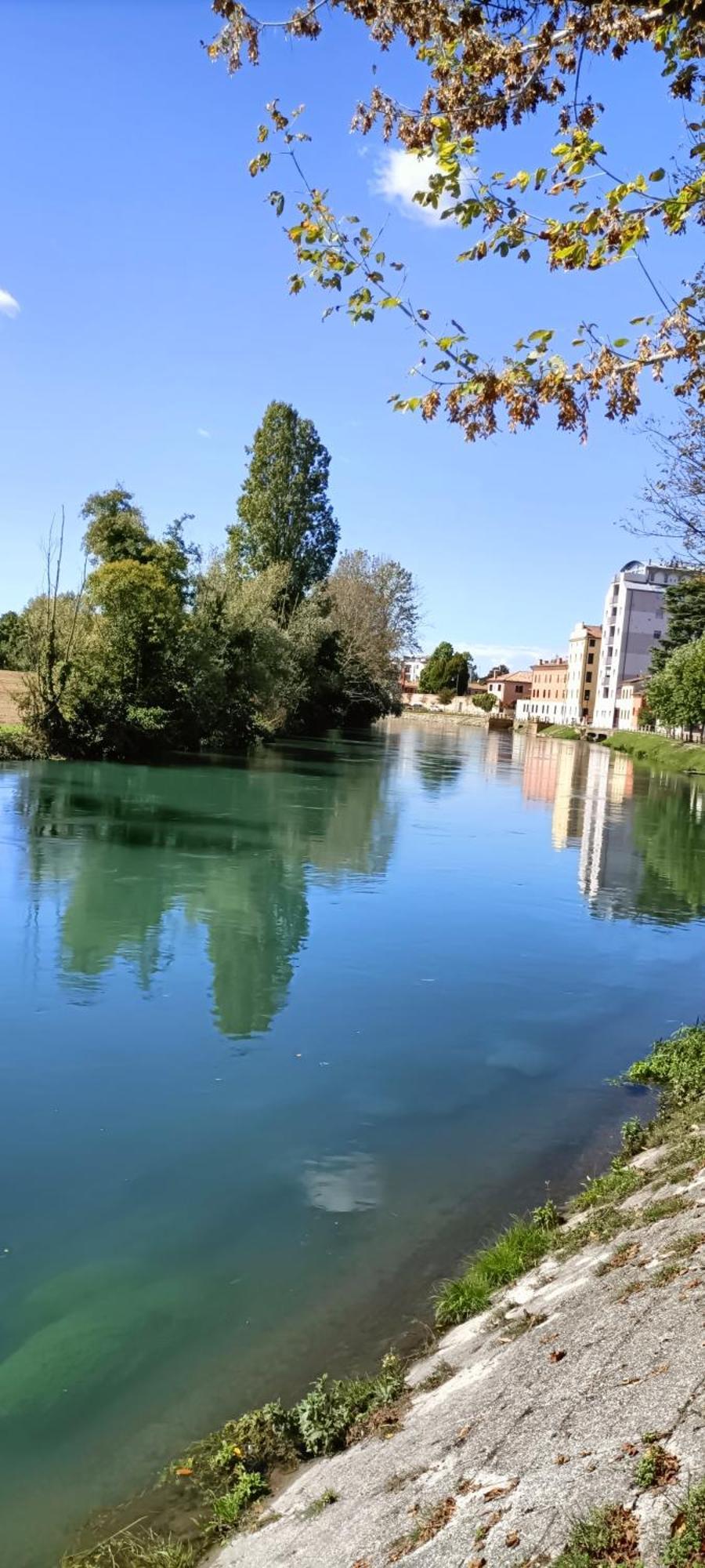 Amalteo 3 Apartamento Treviso Exterior foto